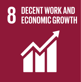 SDG 8 Decent Work and Economic Growth